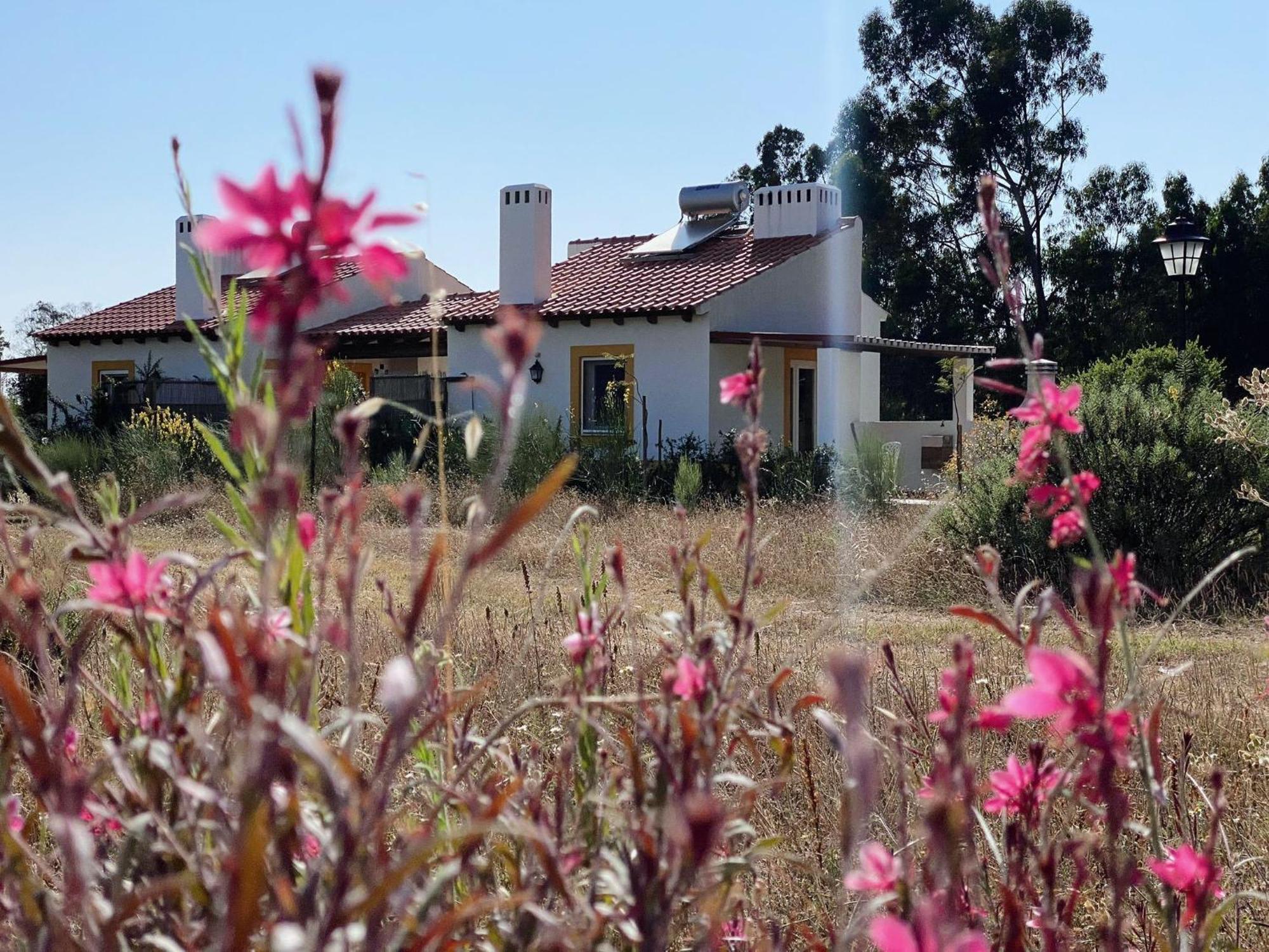 Monte Dos Cachoupos Villa Сао Луис Екстериор снимка